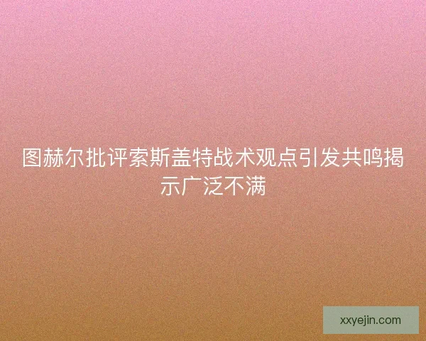 图赫尔批评索斯盖特战术观点引发共鸣揭示广泛不满