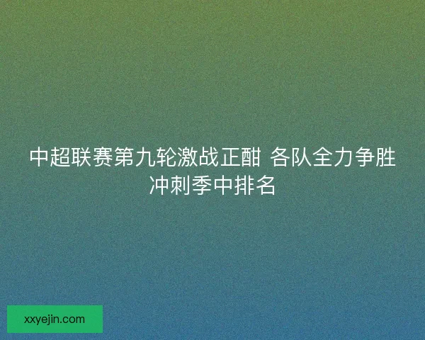 中超联赛第九轮激战正酣 各队全力争胜冲刺季中排名 中超联赛第九轮激战正酣 各队全力争胜冲刺季中排名
